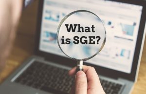 A person is holding a magnifying glass in front of a laptop, focusing on the bold words "What is SGE?" The rest of the screen is blurry with images and text.